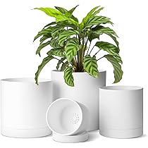 英国プラスチック植木鉢専用です 英国プラスチック植木鉢 1対専用です